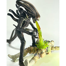 Load image into Gallery viewer, Super Action Stuff! The Cursed Crate Action Figure Accessories